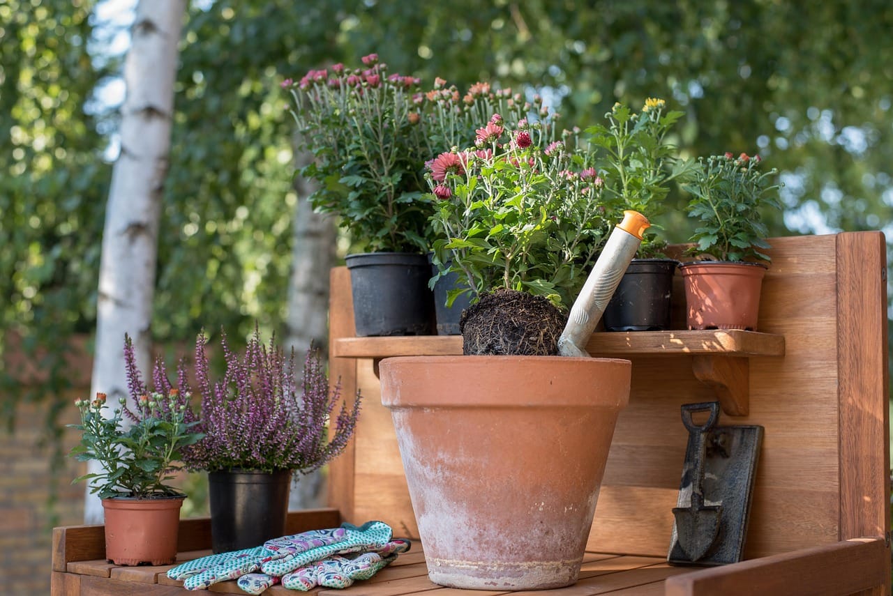 herramientas básicas de jardinería para principiantes