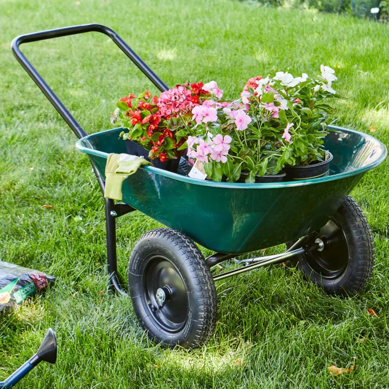 Carretilla - Herramientas basicas de jardineria - jardinexperto.com