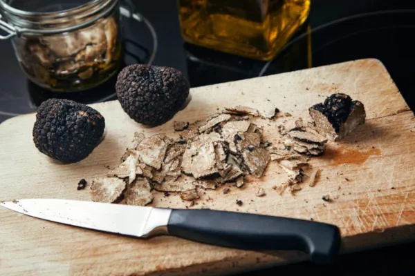La trufa negra (Tuber melanosporum) - JardinExperto.com